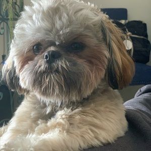 Meet your Posher, Adam